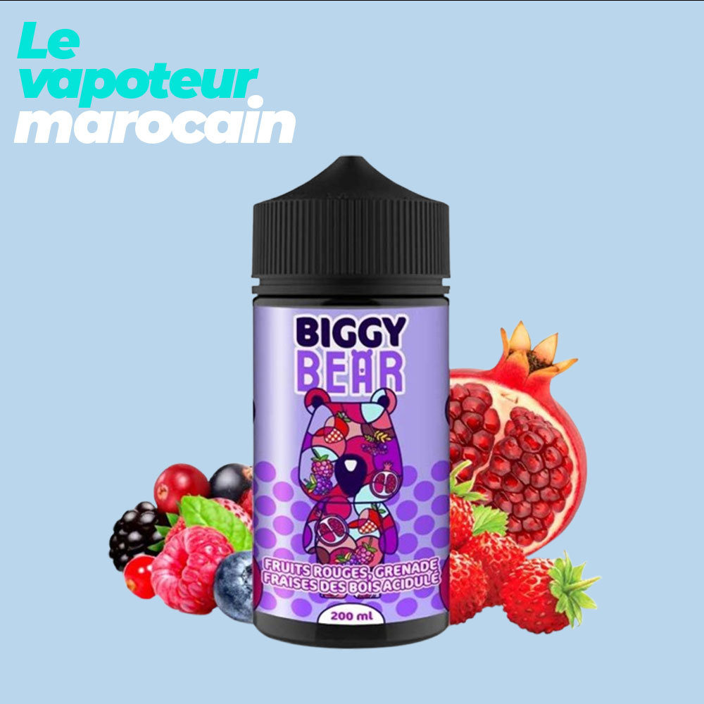 FRUITS ROUGES GRENADE FRAISE DES BOIS ACIDULÉE 200ML BIGGY BEAR
