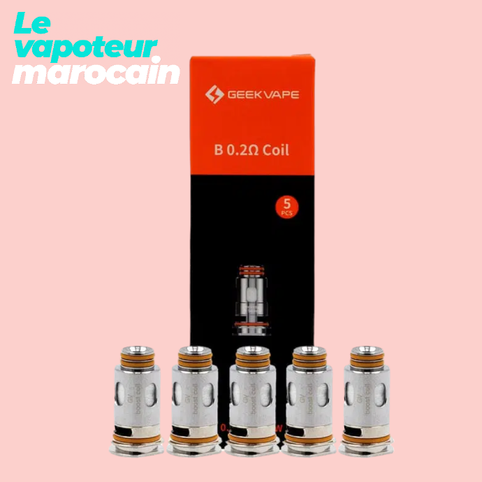 RESISTANCES B  (5 pièces) - GEEKVAPE