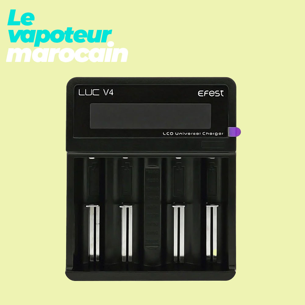 [CHA/EFE-LUC-V4] CHARGEUR D'ACCU LUC V4 - EFEST